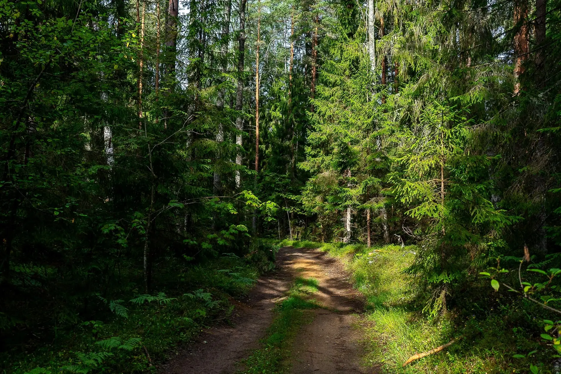 profiter de la nature en coreze